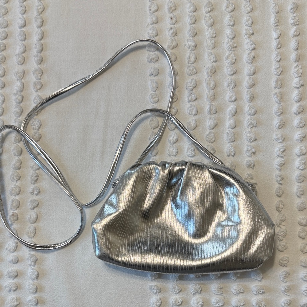 Silver Women's Bag